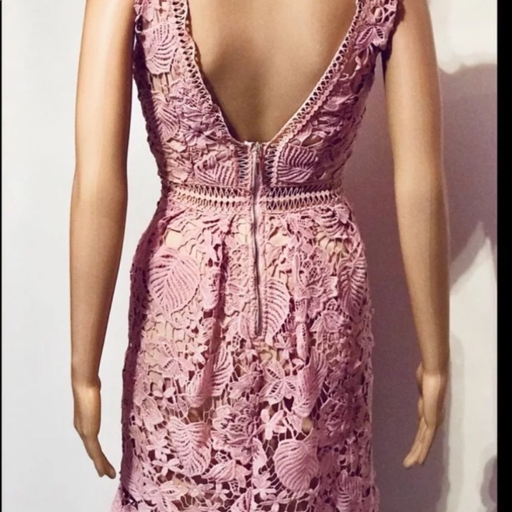 Lace dress by Romeo and Juliet couture. - Picture 4 of 5
